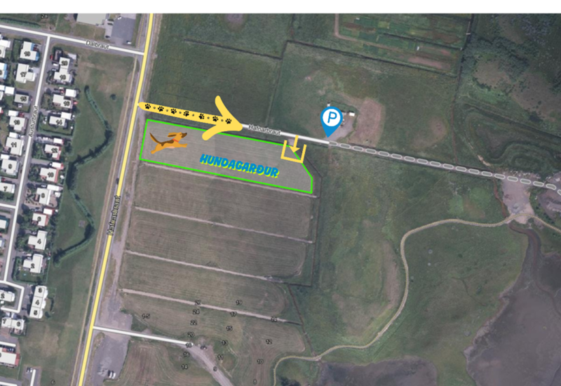 Picture1_1752667756554